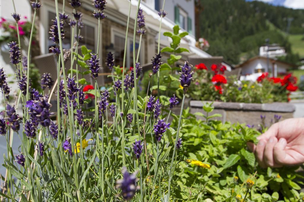 Chalet Madrisa กอร์วารา อิน บาเดีย ภายนอก รูปภาพ